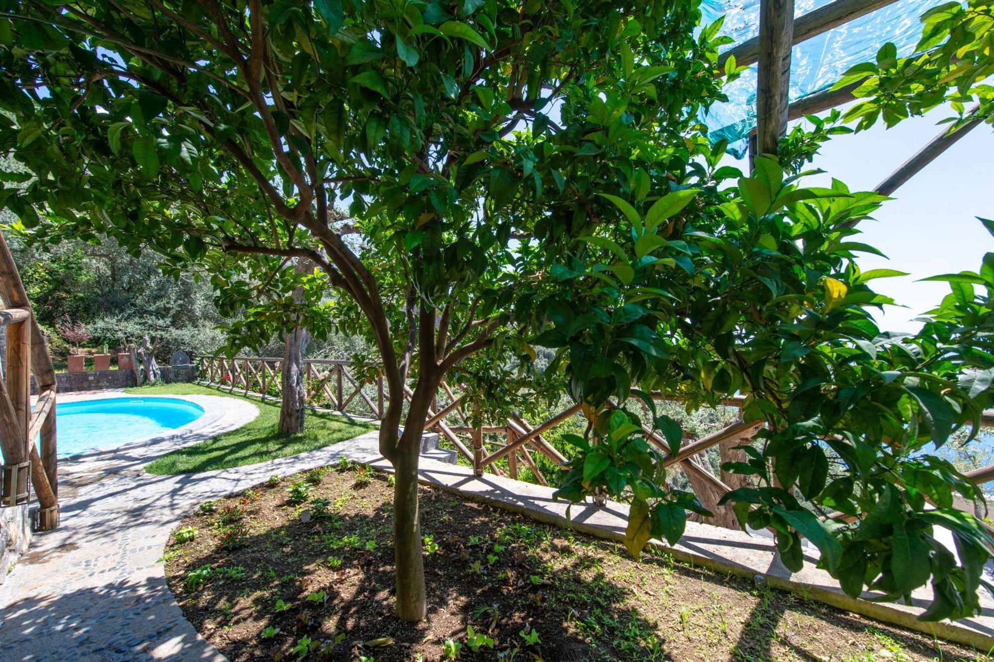 Le Contrade By Sosore Holiday Homes -Amalfi Coast Furore Zimmer foto