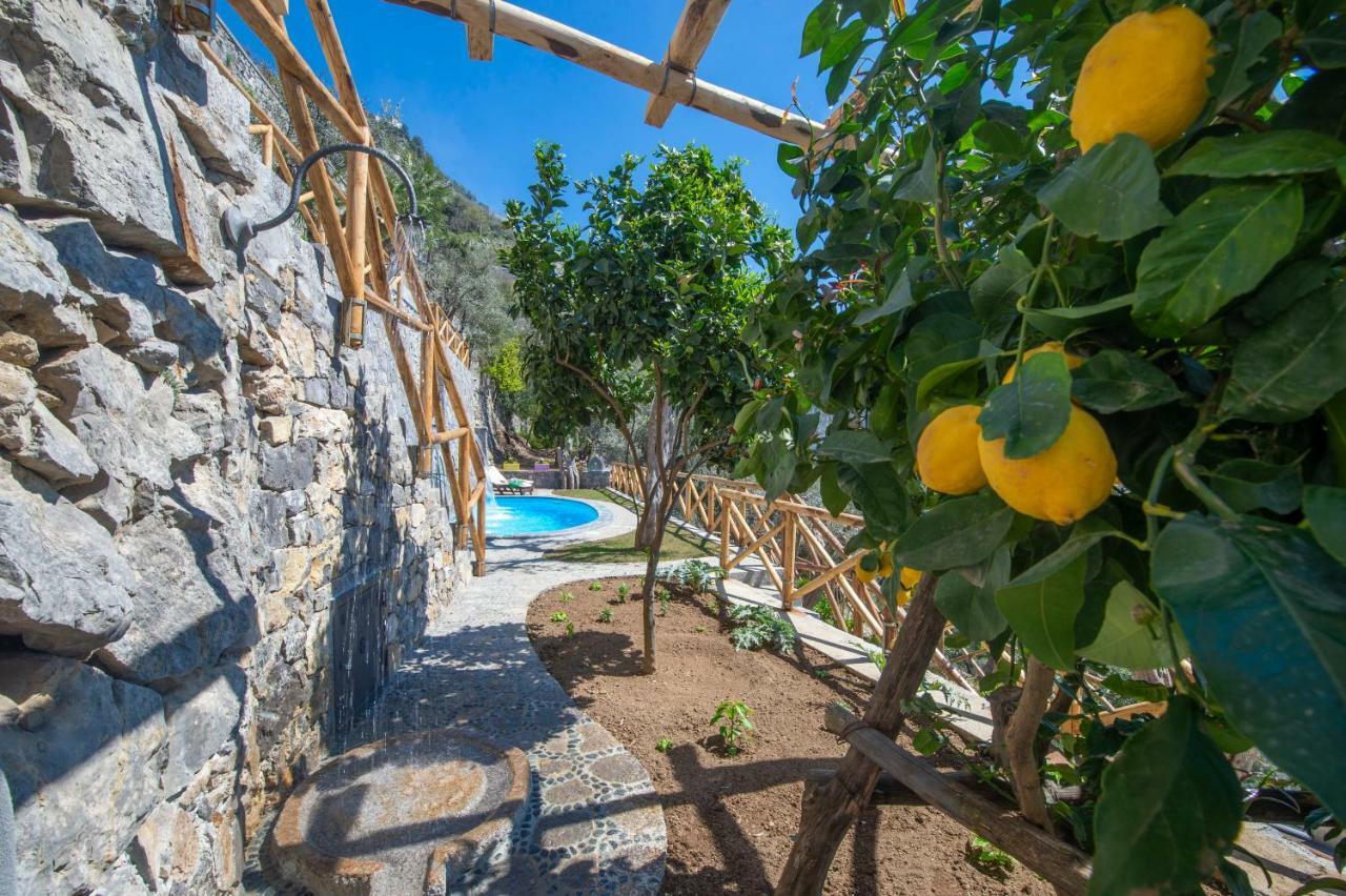Le Contrade By Sosore Holiday Homes -Amalfi Coast Furore Exterior foto